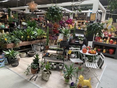 Shop & Beleef Hoeksche Waard | Maasdam gallery-07