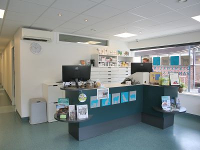 Shop & Beleef Hoeksche Waard | Zuid-Beijerland gallery "Dierenkliniek van der Sar"