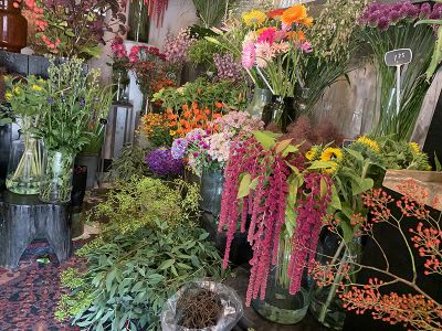 Shop & Beleef Hoeksche Waard | Westmaas gallery-03